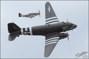 D7T_1829a