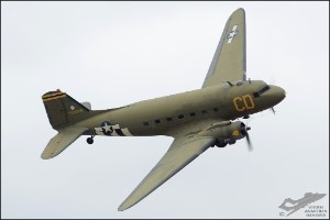 D7T_1833a