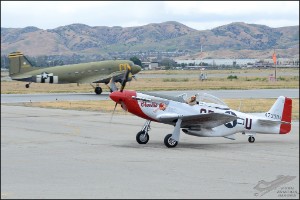 D7T_1876a