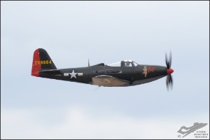 D7T_1879a