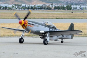 D7T_1885a