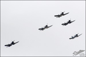 D7T_1973a
