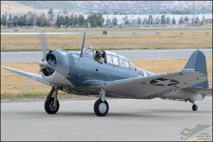 D7T_1993a