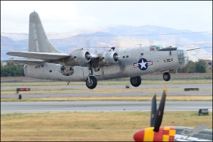 D7T_2089a