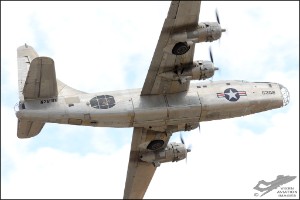 D7T_2142a