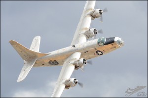 D7T_2179a