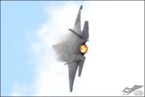 D7T_2265a