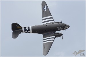 D7T_2341a