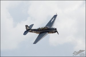D7T_2438a