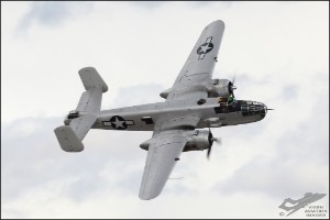 D7T_2482a