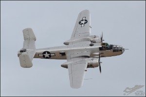 D7T_2485a