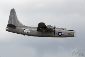 D7T_2508a