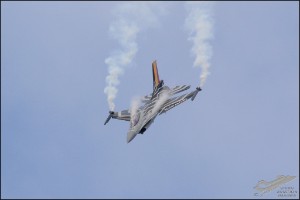 D71_4986