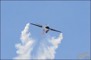 D71_5021