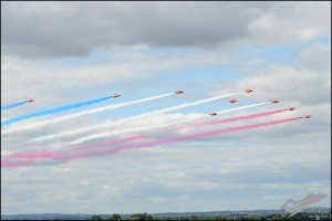 D7T_3274