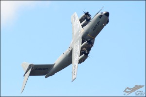 D7T_3336