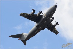 D7T_3341