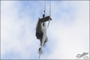 D7T_3383
