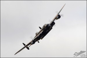 D7T_3433