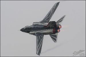 D71_5596