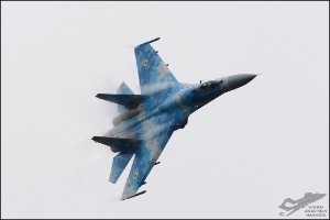 D71_6333