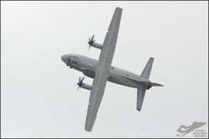 D7T_3549