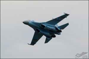 D71_4890