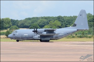 D7T_2941
