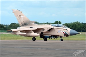 D7T_3094
