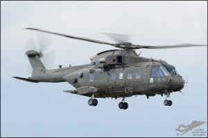 D7T_3118