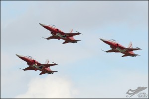 D7T_3124