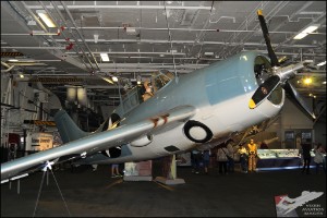 AKS_5276a
