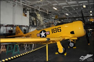 AKS_5283a