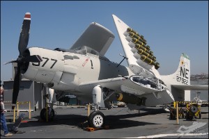 AKS_5322a