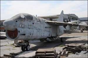 AKS_5803a