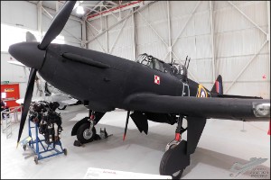 DSCN4565a