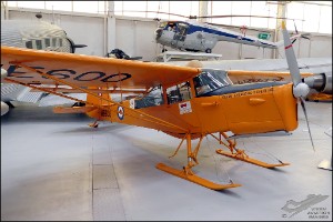 DSCN4717a