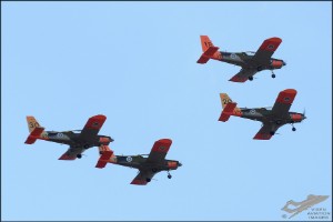 d7t_7297a