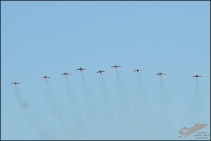 D7T_9186a