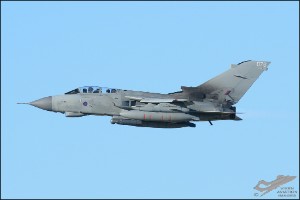 D71_2785