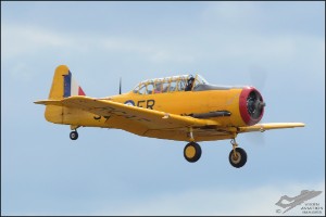 D7T_1214