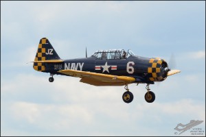 D7T_1231