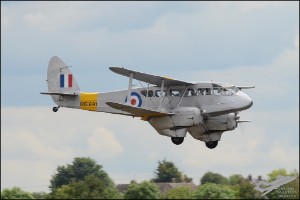 D7T_1259