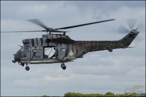 D7T_3346