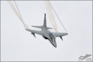 D71_4511
