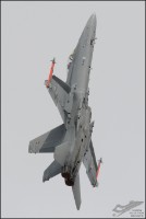 D71_4561