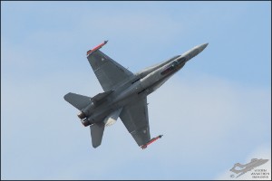 D7T_1754