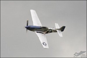D71_5537
