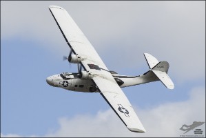 D7T_2759a