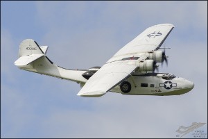 D7T_2789